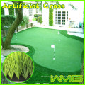 Golf Course Plastic carpet curled monofil PE